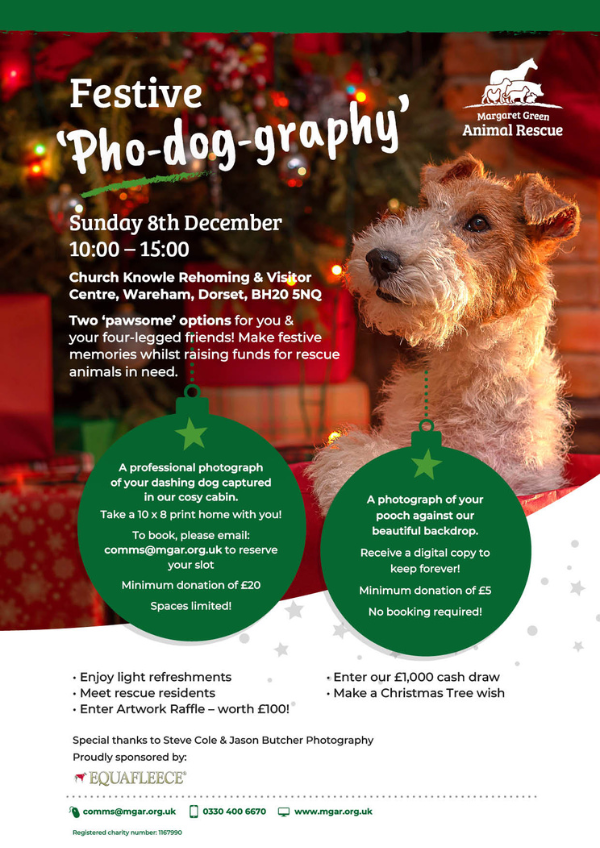 Festive 'Pho-dog-graphy'